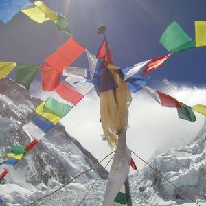 Meet your Posher, Jacqueline